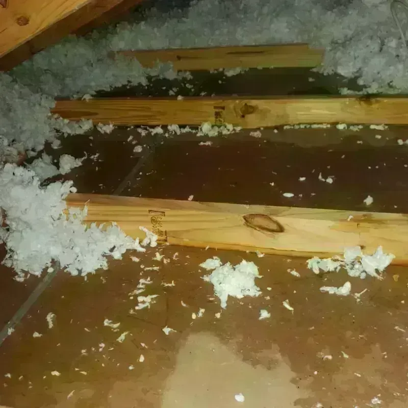 Attic Water Damage in Fosston, MN