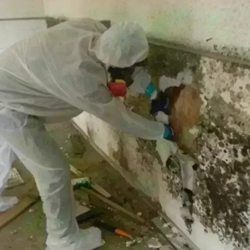 Mold Remediation and Removal in Fosston, MN