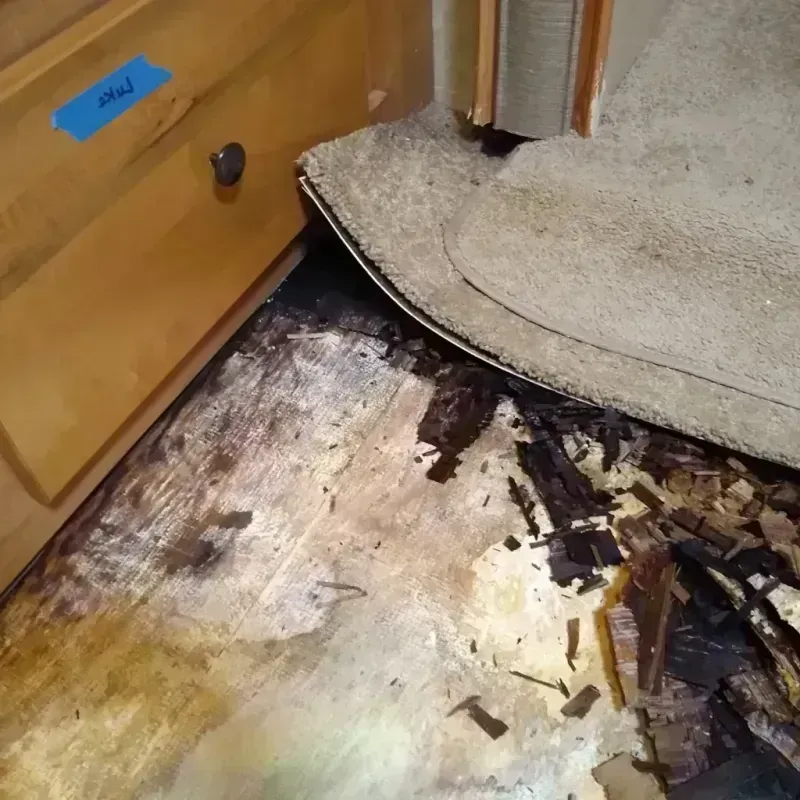 Best Wood Floor Water Damage Service in Fosston, MN